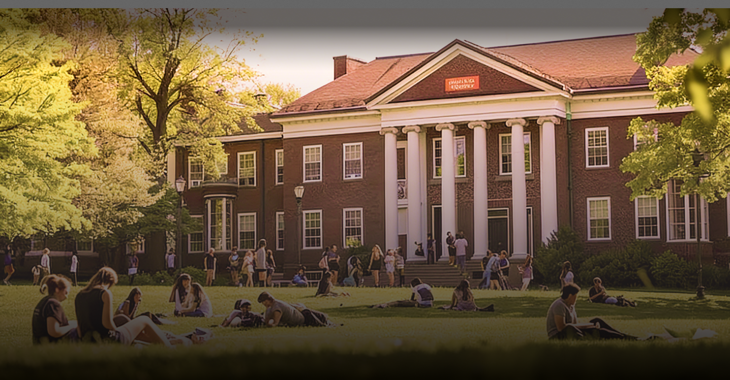 Various Platform Preview